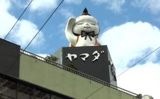 Yamada furniture shop